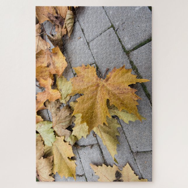 autumn proofs jigsaw puzzle (Vertical)