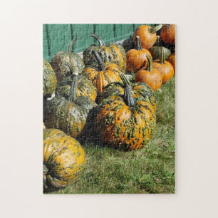 Autumn Pumpkin Harvest Jigsaw Puzzle
