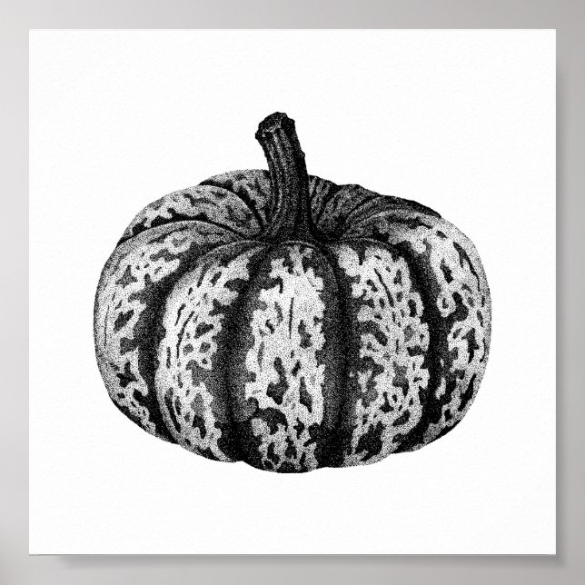 Autumn Pumpkin Ink Stipple Drawing Poster (Front)