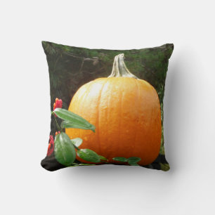 autumn pumpkin on a black fence cushion