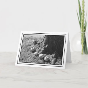 Autumn Pumpkins Blank Greeting Card