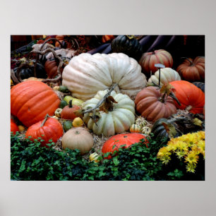 Autumn Pumpkins Fall Colour Wedding  Poster
