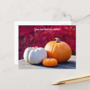 Autumn Pumpkins Holiday Postcard