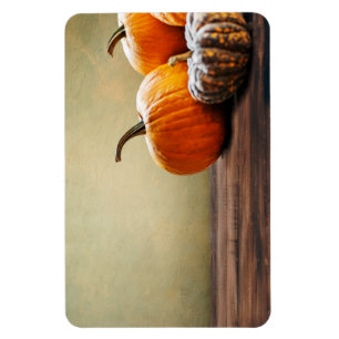 Autumn Pumpkins. Thanksgiving and Halloween still. Magnet
