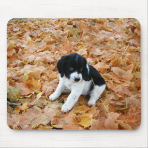 Autumn Puppy Mouse Pad