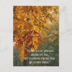 Autumn Quotes Forest Trees Leaves Ways Postcard