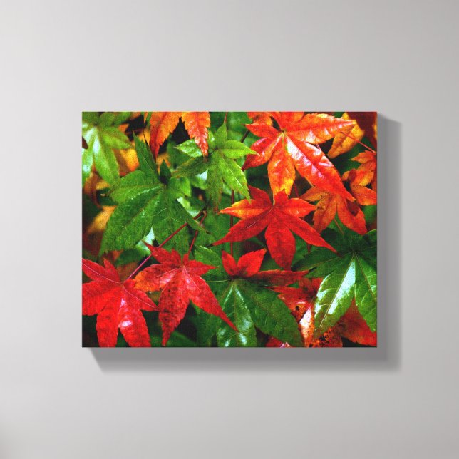 Autumn Rain Canvas Print (Front)