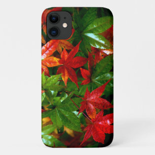 Autumn Rain Case-Mate iPhone Case