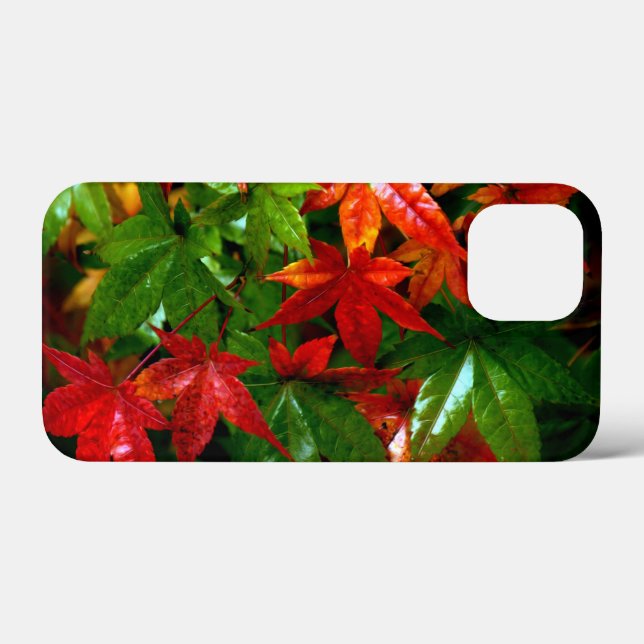 Autumn Rain Case-Mate iPhone Case (Back (Horizontal))