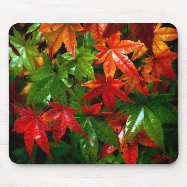 Autumn Rain Mouse Pad (Front)