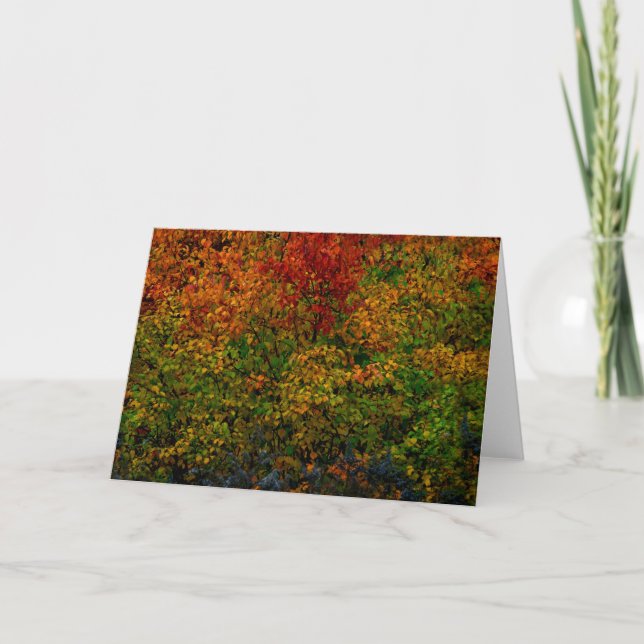 Autumn Rainbow Card (Front)