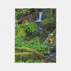 Autumn Rainforest   Olympic National Park Fleece Blanket