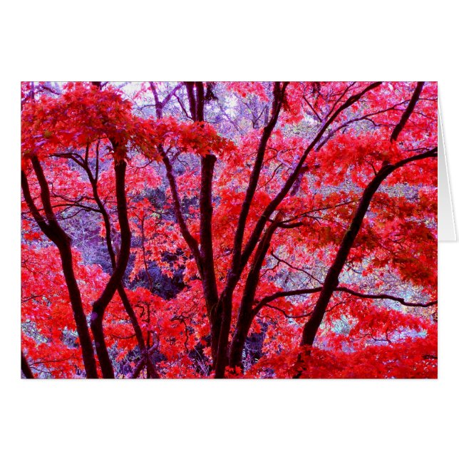 Autumn red card (Front Horizontal)