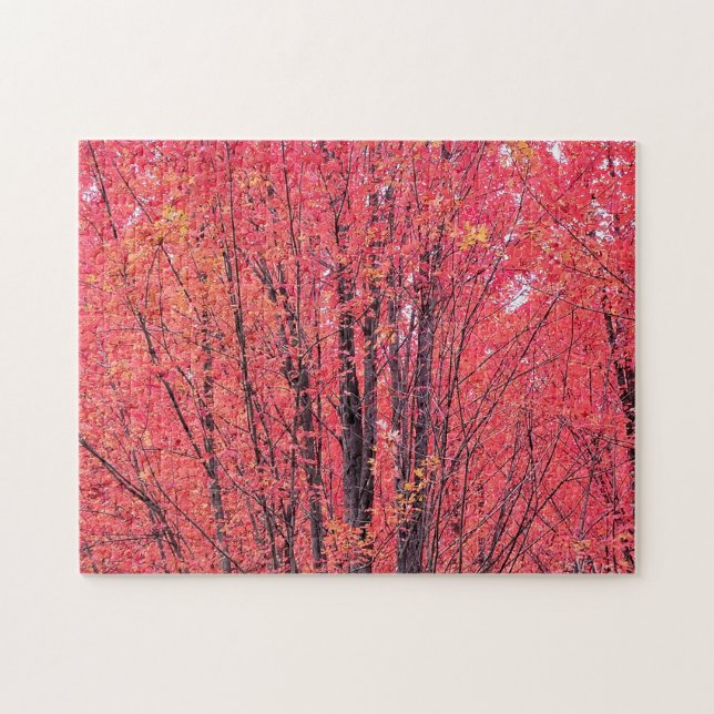 Autumn Red - Fall Trees Jigsaw Puzzle (Horizontal)