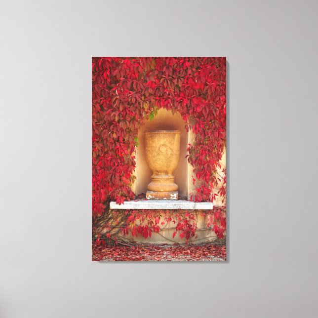 Autumn red foliage, New Zealand Canvas Print (Front)