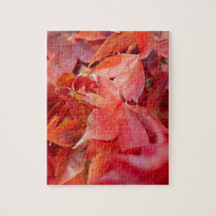 Autumn Red Maple Leaves Jigsaw Puzzle