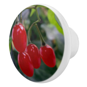 Autumn red spots ceramic knob