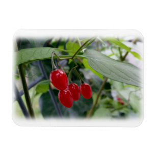 Autumn red spots magnet