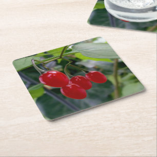 Autumn red spots square paper coaster