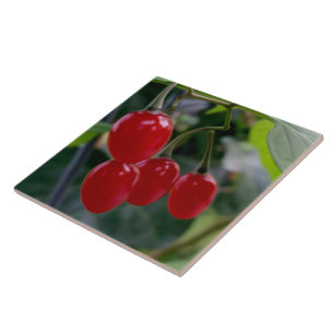 Autumn red spots tile