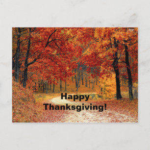 Autumn Red Trees Road Photo Thanksgiving Postcard
