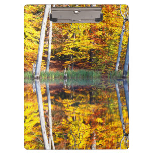 Autumn Reflection Clipboard