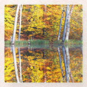 Autumn Reflection Glass Coaster