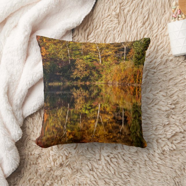 Autumn reflection on Coffin Pond Cushion (Blanket)