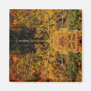 Autumn reflection on Coffin Pond Magnet
