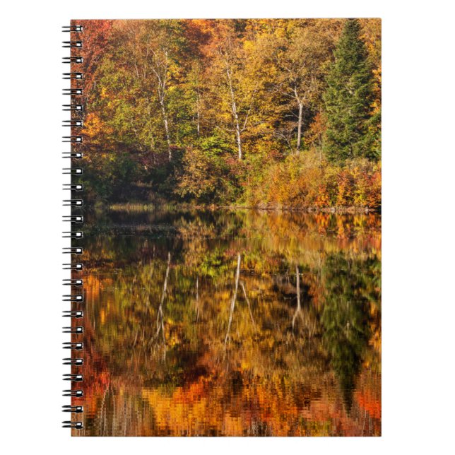 Autumn reflection on Coffin Pond Notebook (Front)
