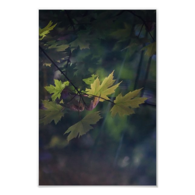 Autumn Reflection -- Photo Print (Front)