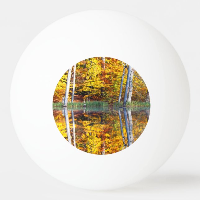 Autumn Reflection Ping Pong Ball (Back)