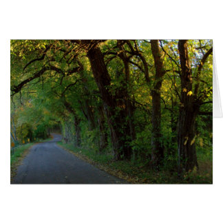 Autumn Reflections #25