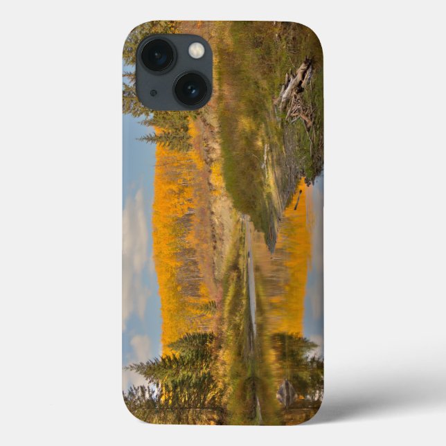 Autumn Reflections - Aspen Poplars Case-Mate iPhone Case (Back)