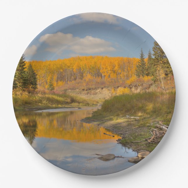 Autumn Reflections - Aspen Poplars Paper Plate (Front)