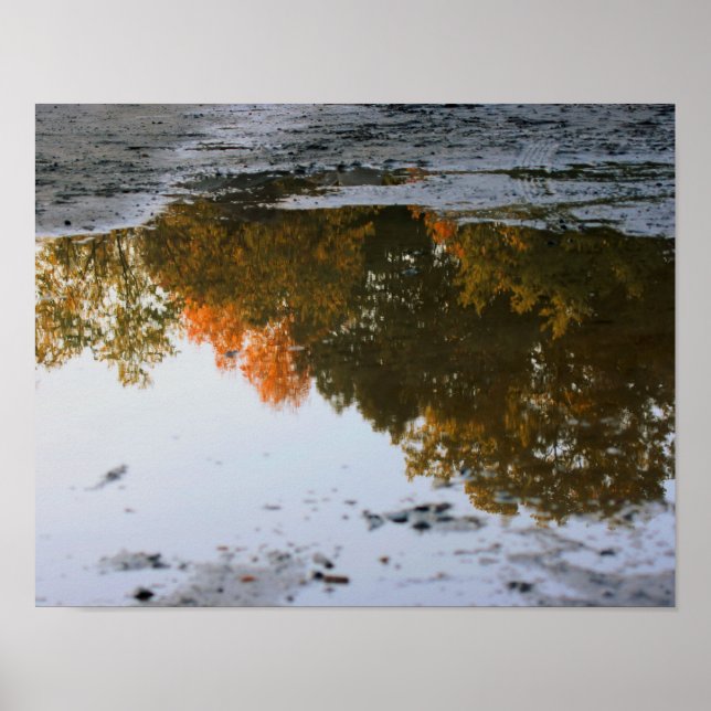 Autumn Reflections In A Puddle Nature Poster (Front)