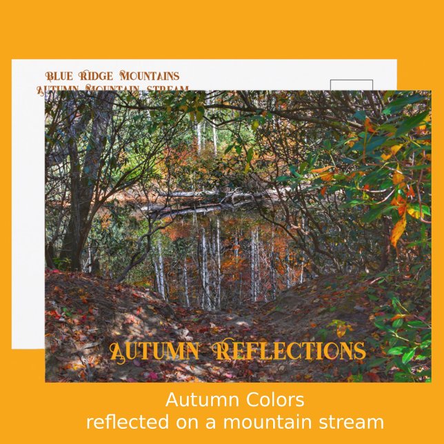 Autumn Reflections Mountain Stream Photographic Postcard (Creator Uploaded)