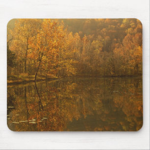 Autumn reflections on pond. mouse pad