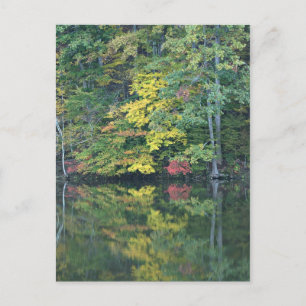 Autumn Reflections Postcard