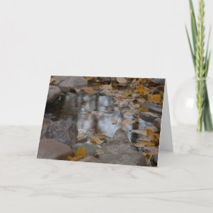 Autumn Refletions Holiday Card