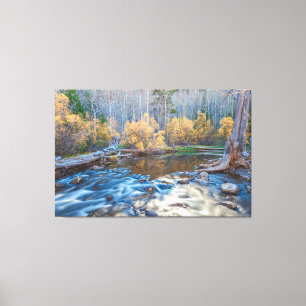 Autumn River Landscape Canvas Print