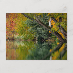 Autumn river postcard