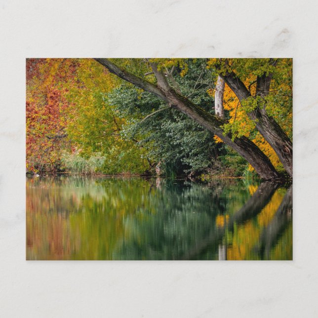 Autumn river postcard (Front)