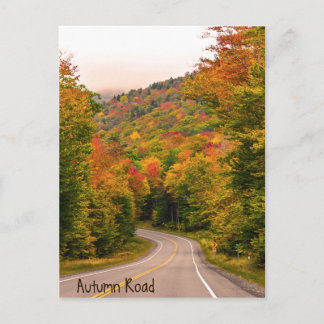 Autumn Road Postcard