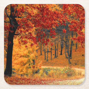 Autumn Road Square Paper Coaster