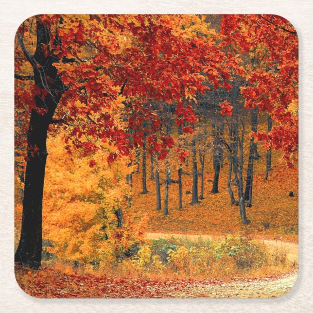 Autumn Road Square Paper Coaster (Front)