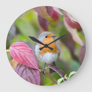 Autumn Robin Clock with red leaves in fall