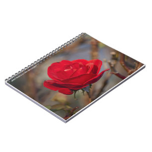 Autumn Rose Notebook