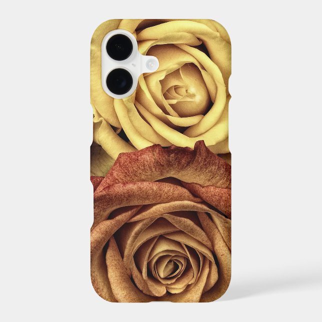 Autumn Roses (Back)