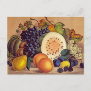Autumn’s Bounty - Postcard